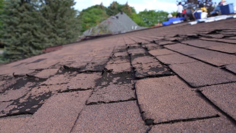 Best Flat Roofing  in Zanesville, OH