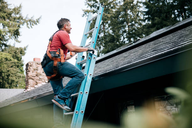 Best Steel Roofing  in Zanesville, OH
